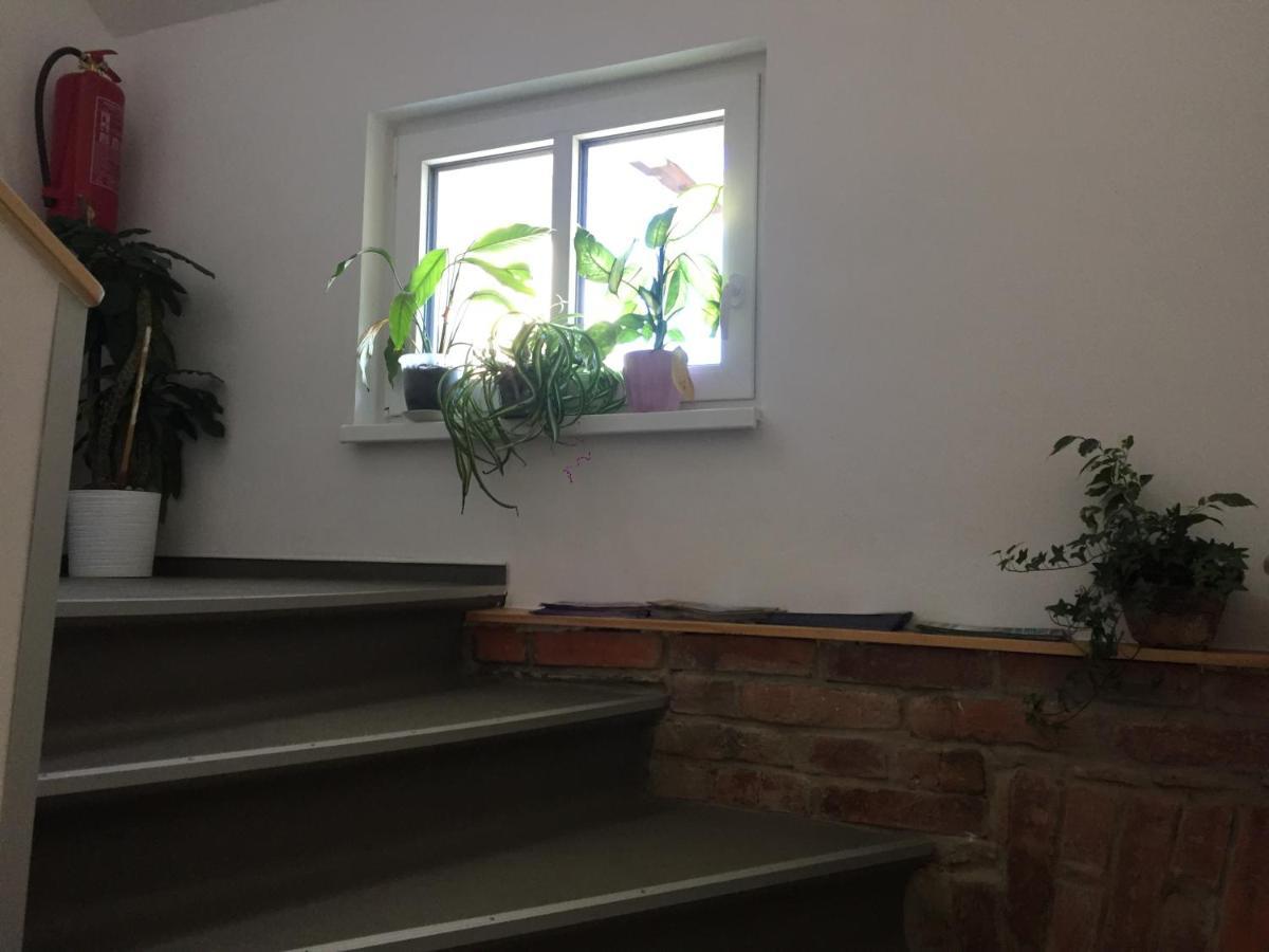 Penzion U Lastuvku Šluknov Exterior foto